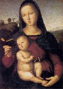 RAFFAELLO Sanzio Solly Madonna oil painting on canvas